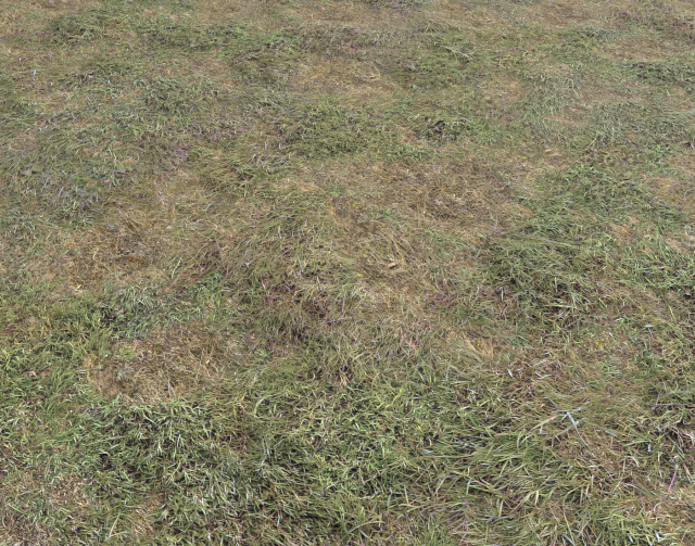ground terrain grass pbr pack 5 CG 텍스쳐 .c4d .max .obj .3ds .fbx .stl .blend 
