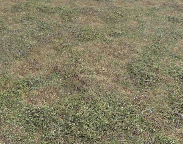 ground terrain grass pbr pack 5 CG Textures .c4d .max .obj .3ds .fbx .stl .blend