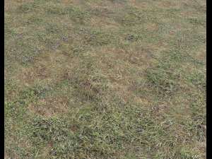 ground terrain grass pbr pack 5 CG Textures