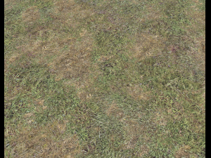 ground terrain grass pbr pack 5 CG 텍스쳐