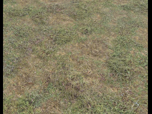 ground terrain grass pbr pack 5 CG Textures