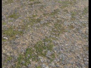 ground terrain grass pbr pack 5 CG 텍스쳐