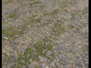 ground terrain grass pbr pack 5 CG Textures