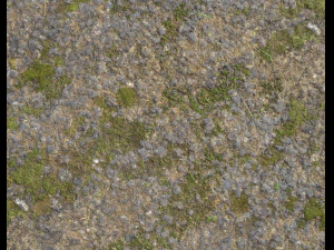 ground terrain grass pbr pack 5 CG Textures