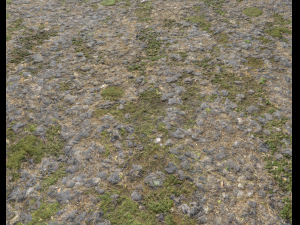 ground terrain grass pbr pack 5 CG 텍스쳐