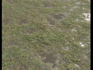 ground terrain grass pbr pack 5 CG 텍스쳐