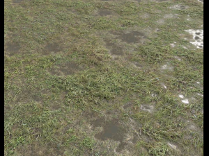 ground terrain grass pbr pack 5 CG Textures