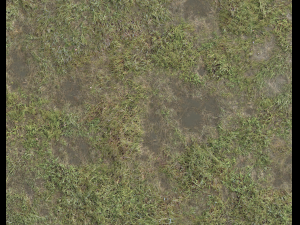ground terrain grass pbr pack 5 CG 텍스쳐
