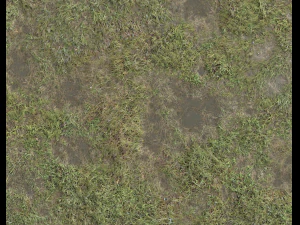 ground terrain grass pbr pack 5 CG Textures