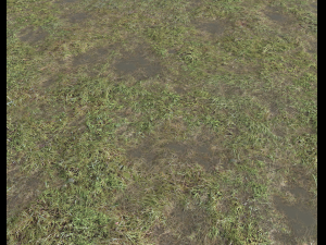 ground terrain grass pbr pack 5 CG 텍스쳐