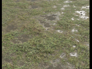 ground terrain grass pbr pack 5 CG 텍스쳐