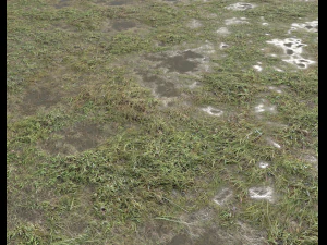 ground terrain grass pbr pack 5 CG Textures