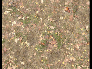 ground terrain grass pbr pack 5 CG Textures