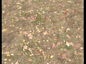 ground terrain grass pbr pack 5 CG 텍스쳐