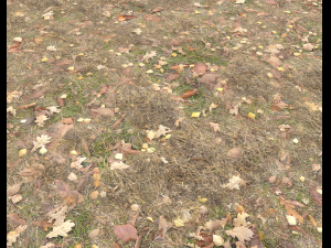ground terrain grass pbr pack 5 CG 텍스쳐