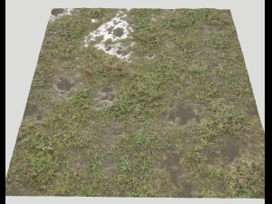 ground terrain grass pbr pack 5 CG 텍스쳐
