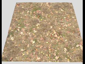 ground terrain grass pbr pack 5 CG Textures