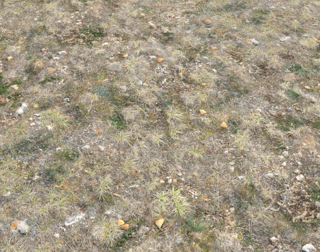 ground terrain tundra pbr pack 1 CG Textures .c4d .max .obj .3ds .fbx .stl .blend 