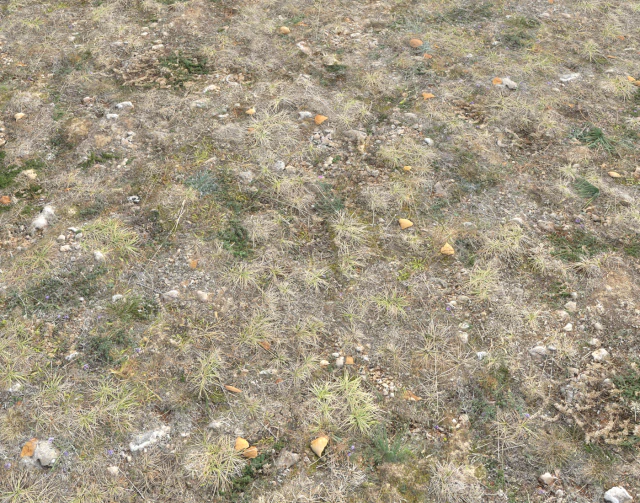 ground terrain tundra pbr pack 1 CG Textures .c4d .max .obj .3ds .fbx .stl .blend 