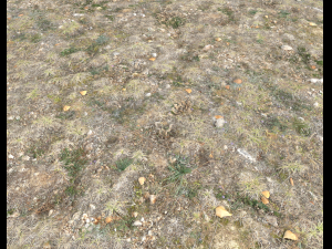 ground terrain tundra pbr pack 1 CG Textures