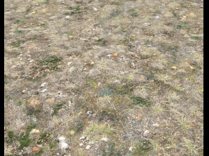 ground terrain tundra pbr pack 1 CG Textures