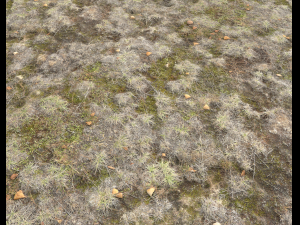 ground terrain tundra pbr pack 1 CG Textures