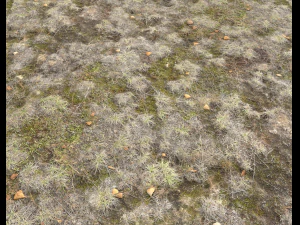 ground terrain tundra pbr pack 1 CG Textures