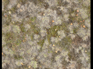 ground terrain tundra pbr pack 1 CG Textures