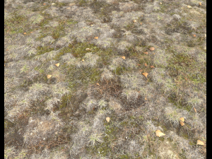 ground terrain tundra pbr pack 1 CG Textures
