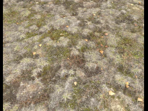 ground terrain tundra pbr pack 1 CG Textures