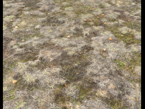 ground terrain tundra pbr pack 1 CG Textures