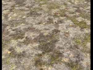 ground terrain tundra pbr pack 1 CG Textures
