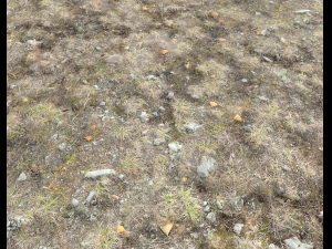 ground terrain tundra pbr pack 1 CG Textures