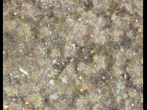 ground terrain tundra pbr pack 1 CG Textures