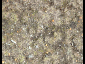 ground terrain tundra pbr pack 1 CG Textures