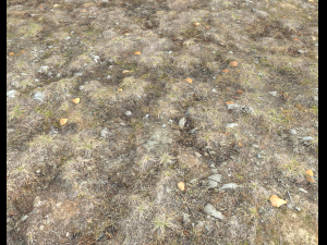 ground terrain tundra pbr pack 1 CG Textures