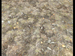ground terrain tundra pbr pack 1 CG Textures