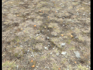 ground terrain tundra pbr pack 1 CG Textures