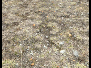ground terrain tundra pbr pack 1 CG Textures
