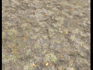 ground terrain tundra pbr pack 1 CG Textures