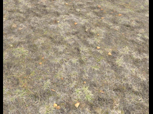 ground terrain tundra pbr pack 1 CG Textures