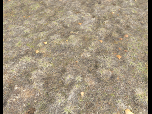 ground terrain tundra pbr pack 1 CG Textures