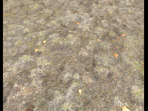 ground terrain tundra pbr pack 1 CG Textures