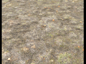 ground terrain tundra pbr pack 1 CG Textures