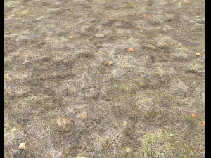 ground terrain tundra pbr pack 1 CG Textures