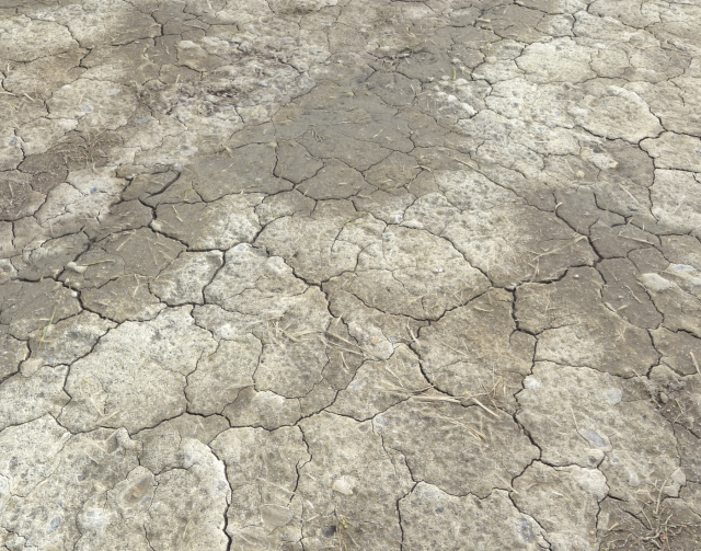 ground terrain desert pbr pack 1 CG 텍스쳐 .c4d .max .obj .3ds .fbx .stl .blend 