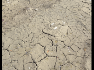 ground terrain desert pbr pack 1 CG 텍스쳐