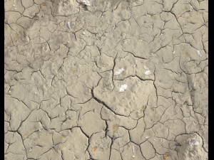 ground terrain desert pbr pack 1 CG 텍스쳐