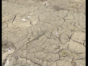 ground terrain desert pbr pack 1 CG 텍스쳐