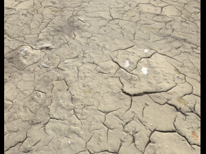 ground terrain desert pbr pack 1 CG 텍스쳐